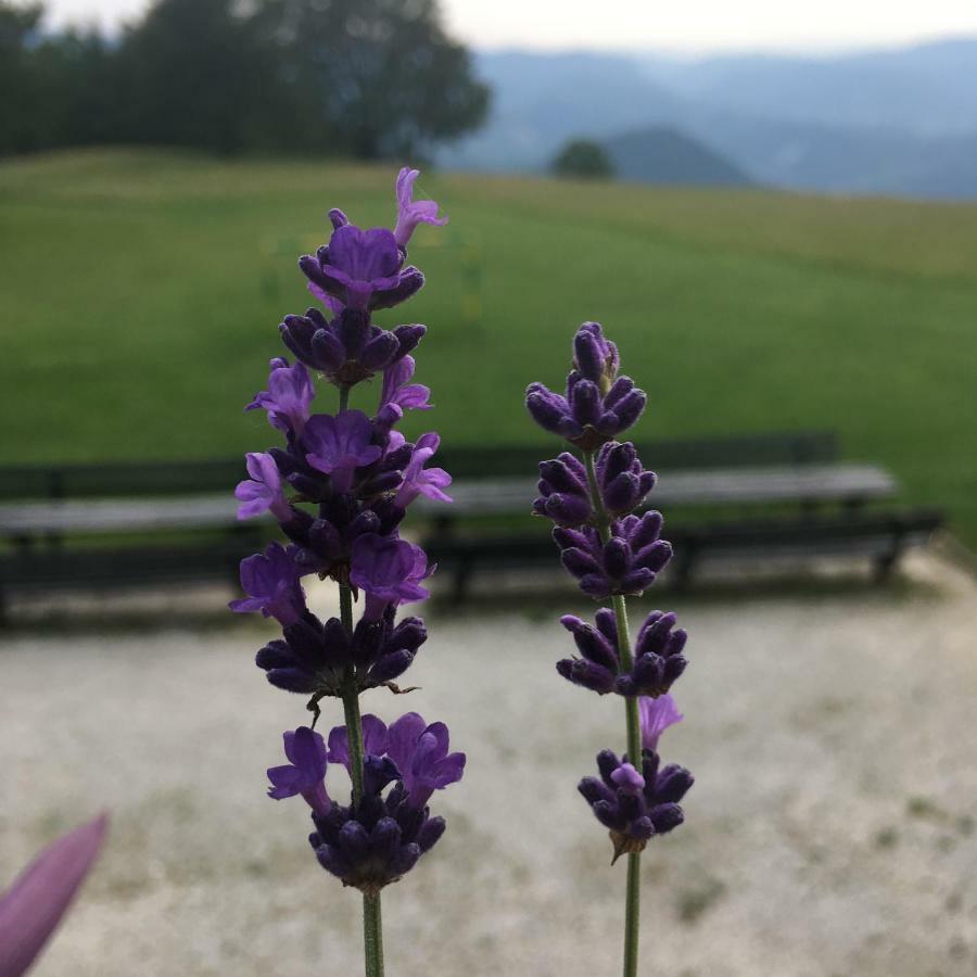 Planinski Dom Na Kalu Bed and Breakfast Dol pri Hrastniku Esterno foto